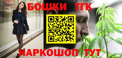 крисы Славгород
