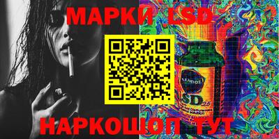 крисы Славгород