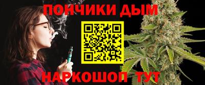 крисы Славгород