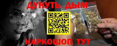 крисы Славгород