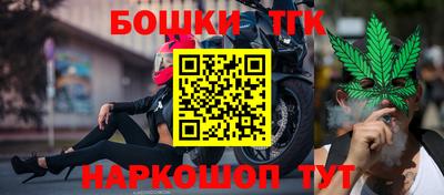 крисы Славгород