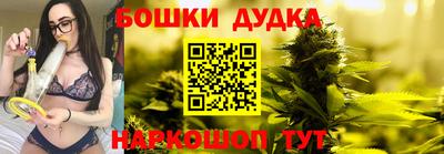 крисы Славгород