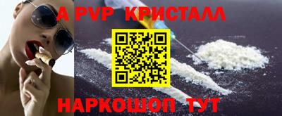 крисы Славгород
