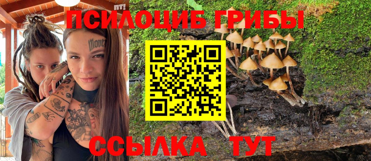 Галлюциногенные грибы MAGIC MUSHROOMS Прокопьевск