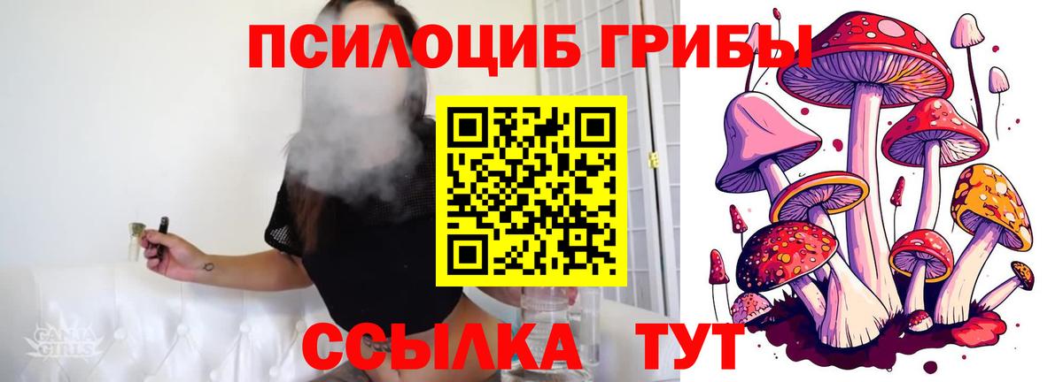 Псилоцибиновые грибы мицелий  Вход с VPN  Прокопьевск 